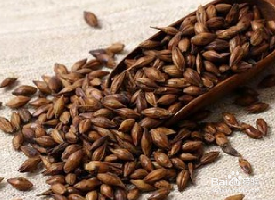 麦芽的功效与食用方法