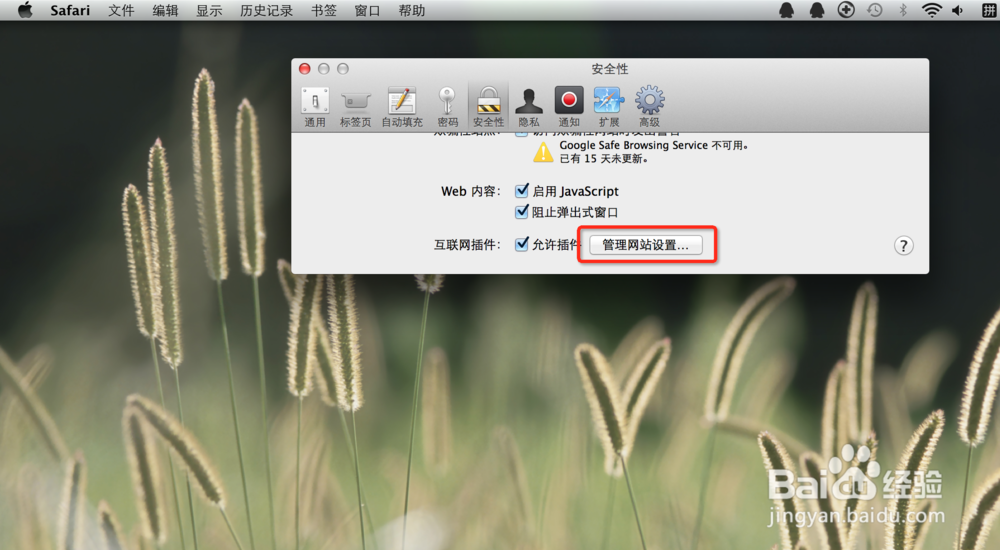 怎样解决mac中adobe flash老是过期的问题