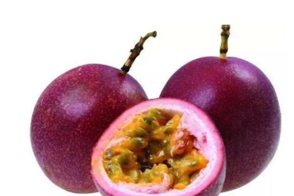 蛋白质含量高的水果有哪些