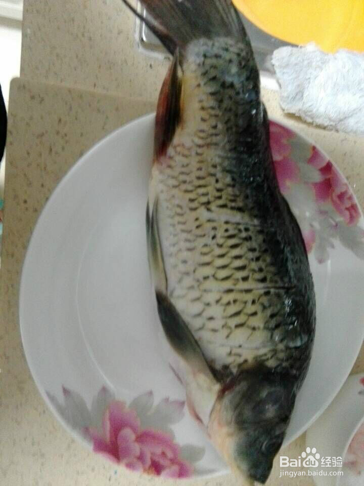 红烧鲫鱼豆腐的做法?