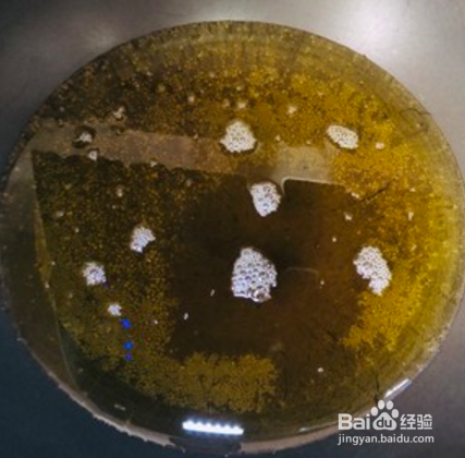 椒盐蘑菇-超好吃的下酒菜