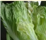 土灶大锅 炒菜技巧