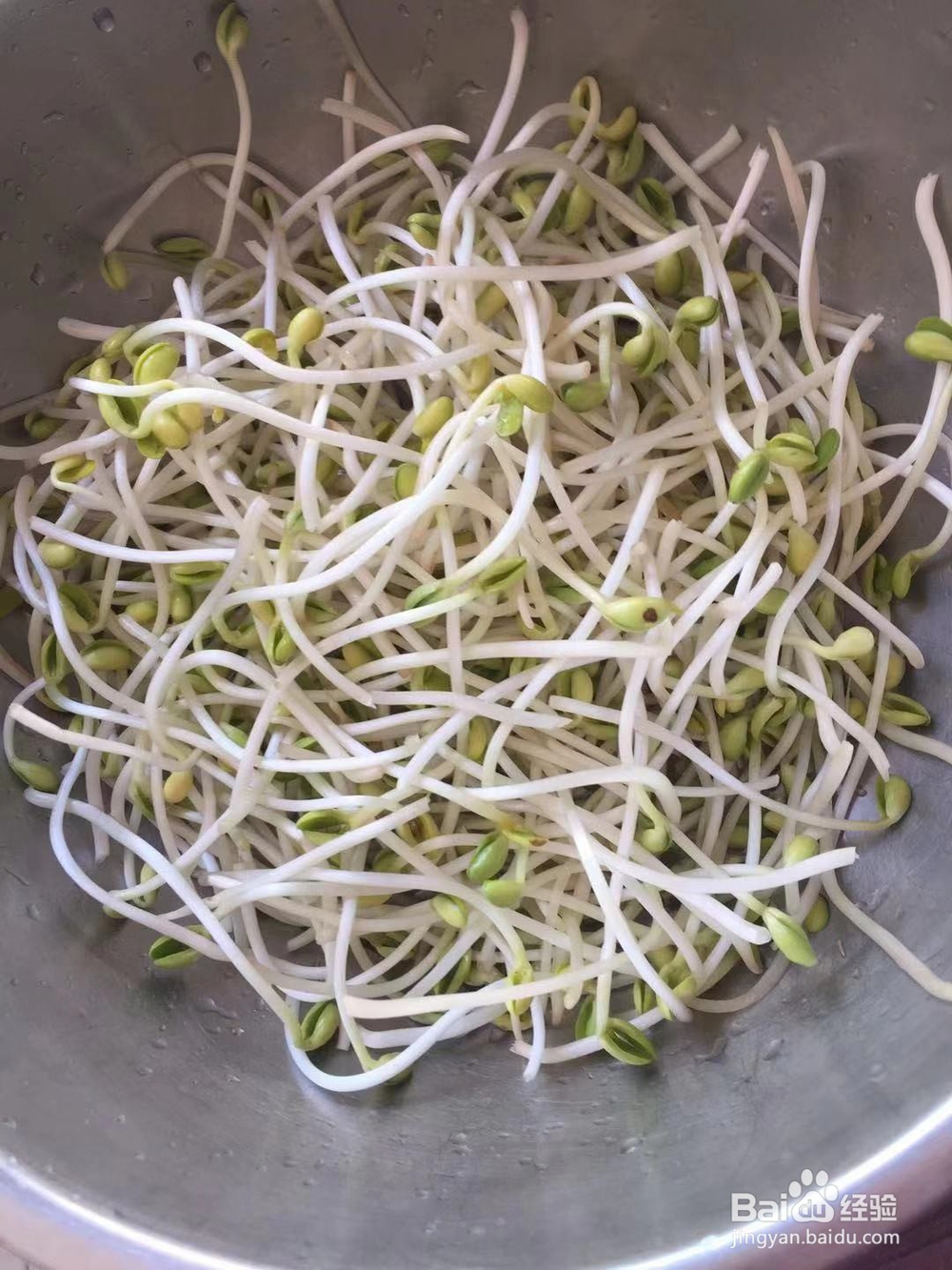 极味家常菜：下饭菜炒豆芽