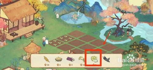 桃源深处有人家怎样才能种植小白菜