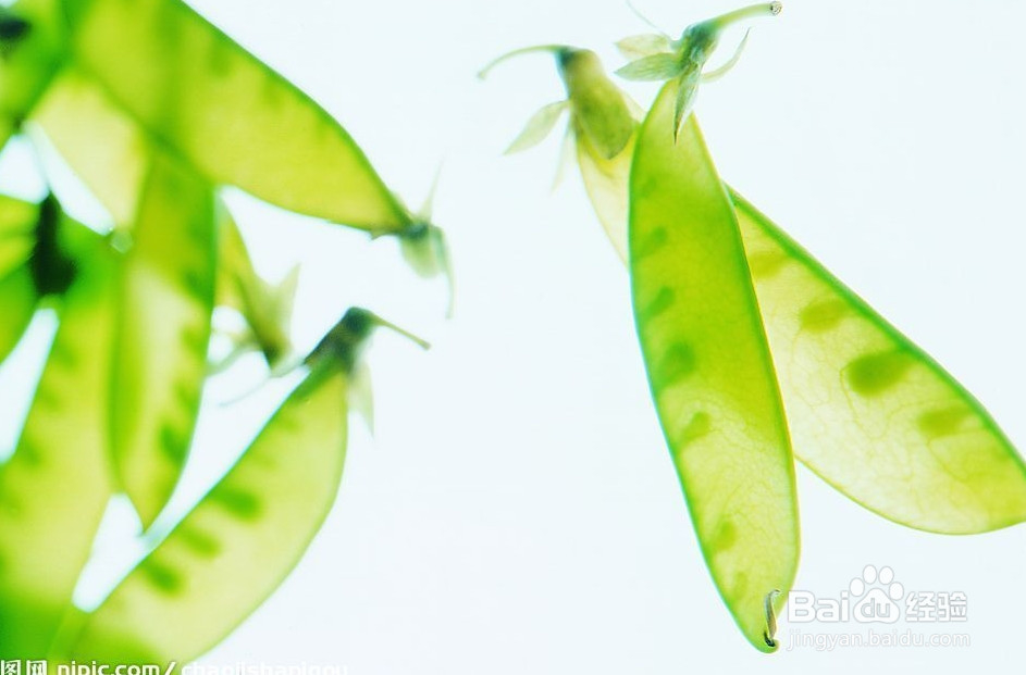 夏季食疗如何排毒有利防病