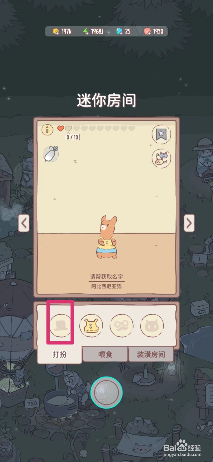 猫咪和汤如何给猫咪戴香粽发带