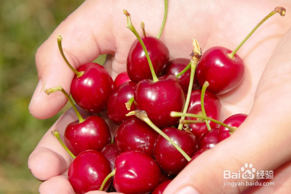 古北水镇农家院怎么样？