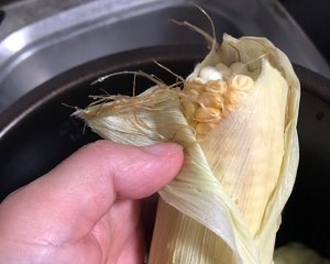 养生食补电压力锅煮玉米的做法