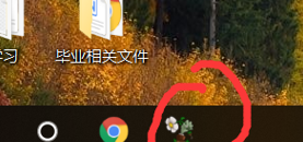 steam植物大战僵尸fatal error解决方法