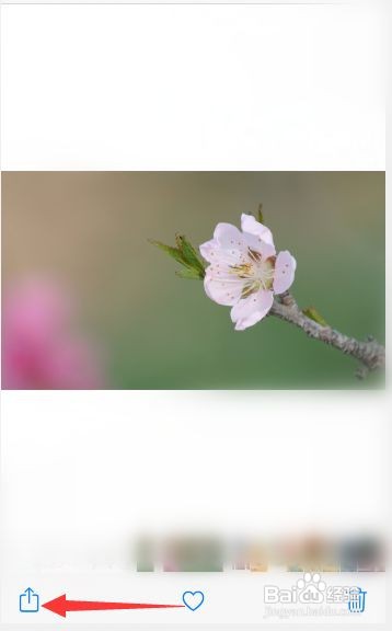 苹果手机怎样隐藏照片