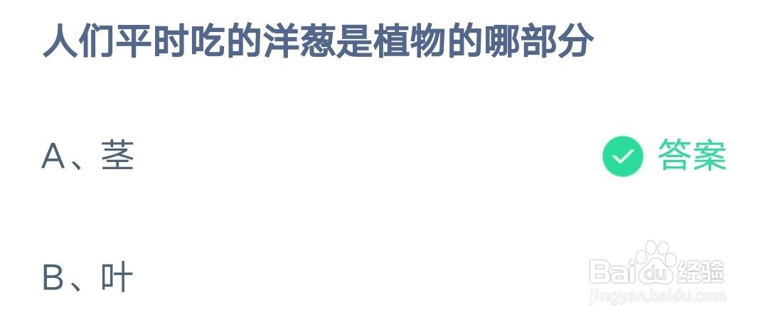 人们平时吃的洋葱是植物的哪部分 蚂蚁庄园