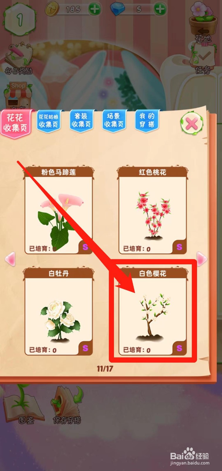 花花姑娘之魔法花园如何查看白色樱花稀有度