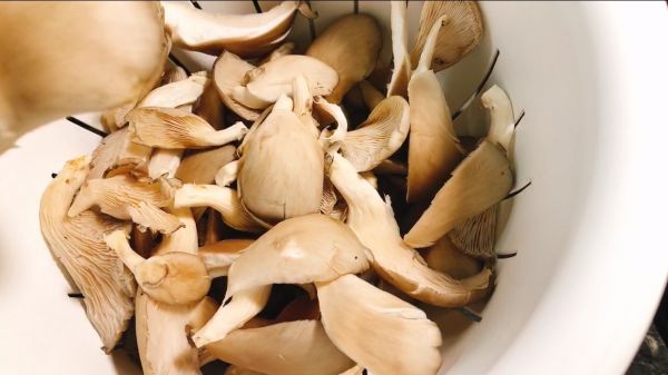 外卖同款炸蘑菇