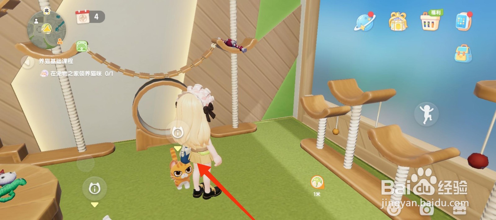 心动小镇怎么领养小猫？