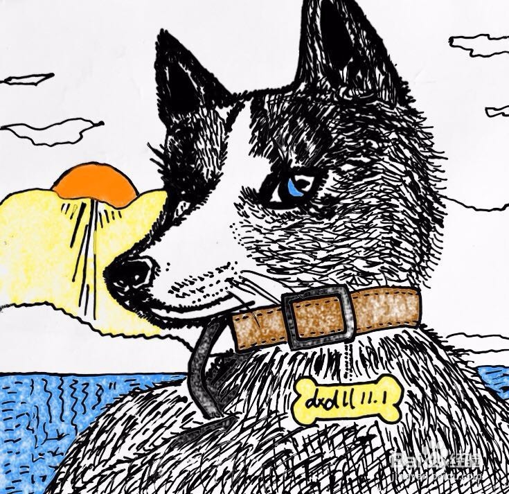 茉莉蜡笔手绘之萌宠哈士奇