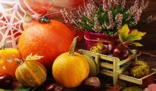 为什么水果是必须要吃的呢一定要吃吗