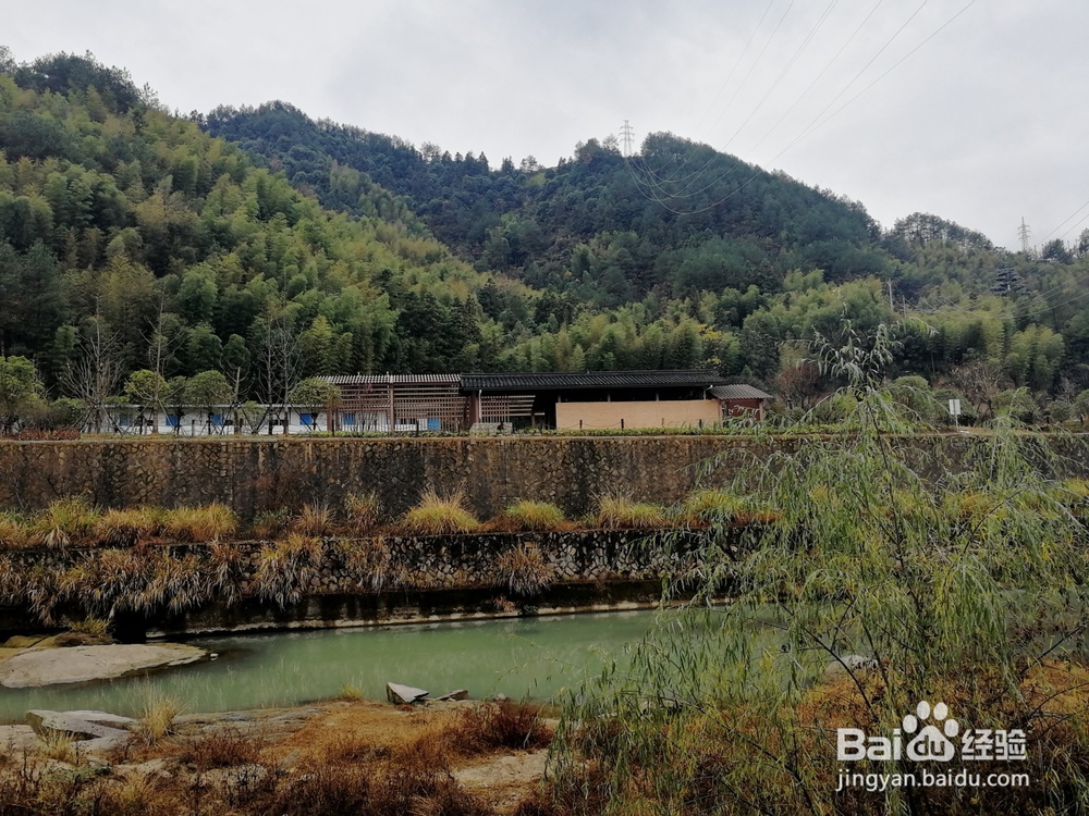 如何游览景宁县城——金园丽景小区溪边小环线