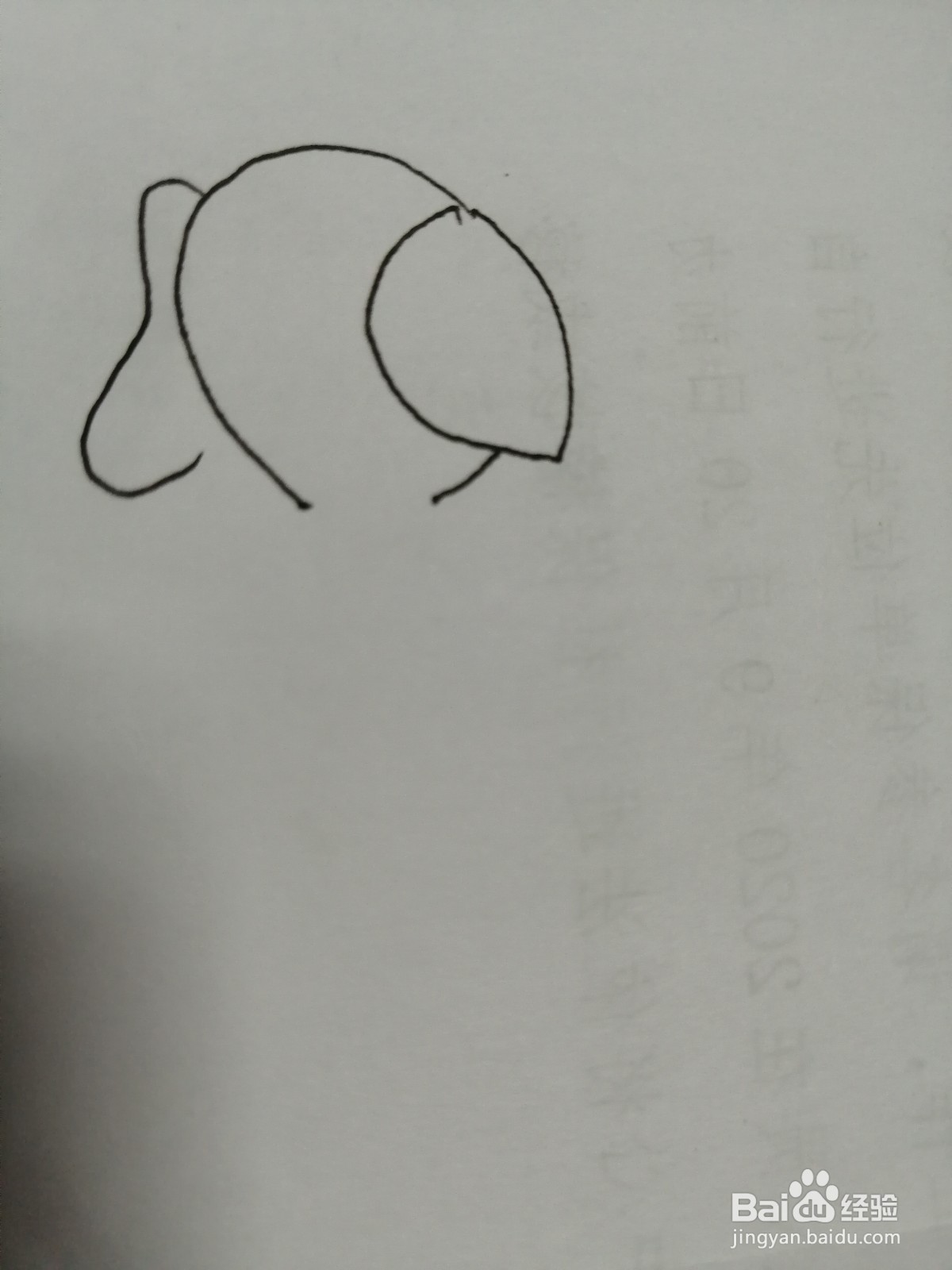 简笔画大象怎么画