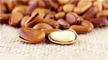 6种再普通不过的食物居然能使人长寿