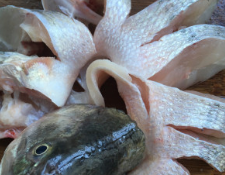 孔雀开屏鱼的做法