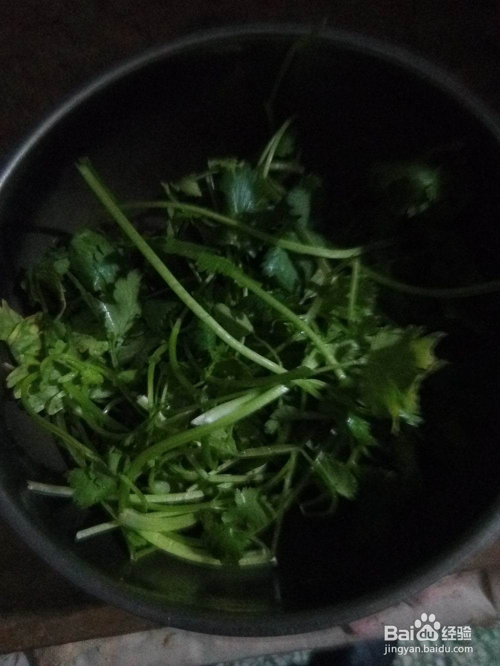 香菜段炒白菜丝