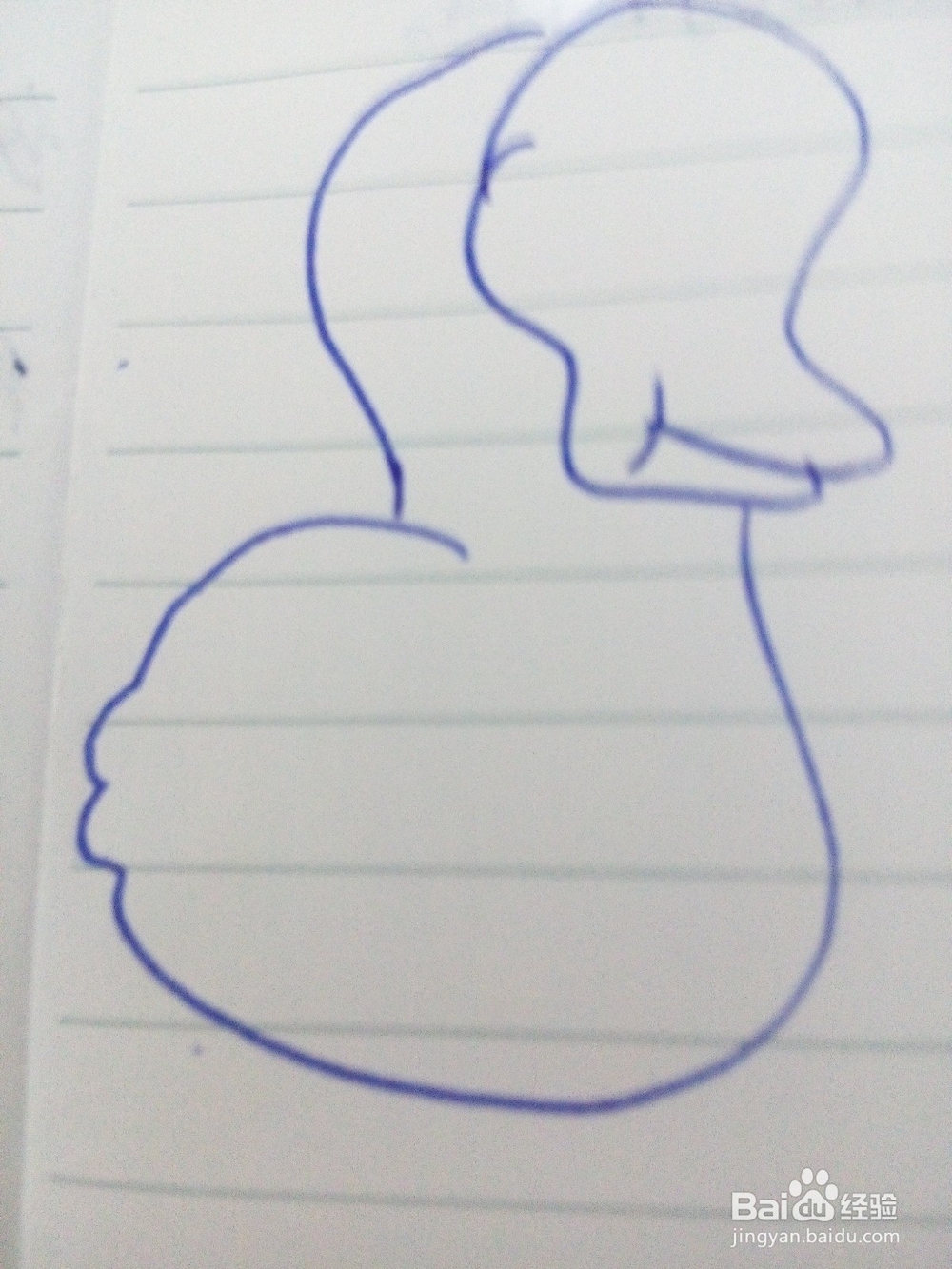 教你学画画：[14]简笔画小鹅