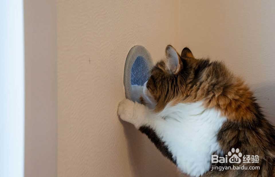 壁挂新风机怎么安装?安装流程图解