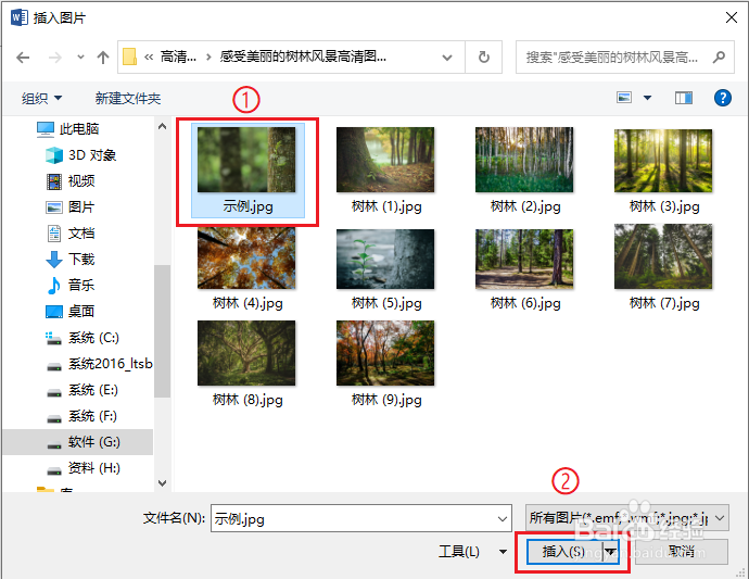 word中插入图片的几种方法