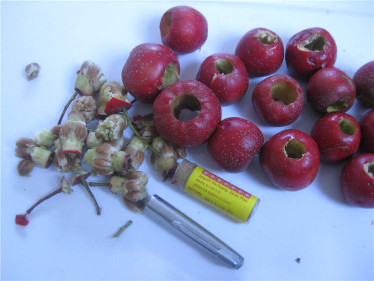 苹果山楂汤怎么做才美味，看完就知道了