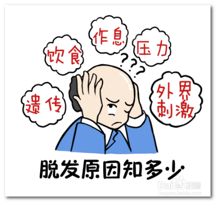 程序员脱发该怎么办?