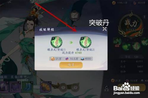 武林闲侠突破丹如何使用