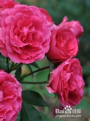 让你一生难忘的话 3