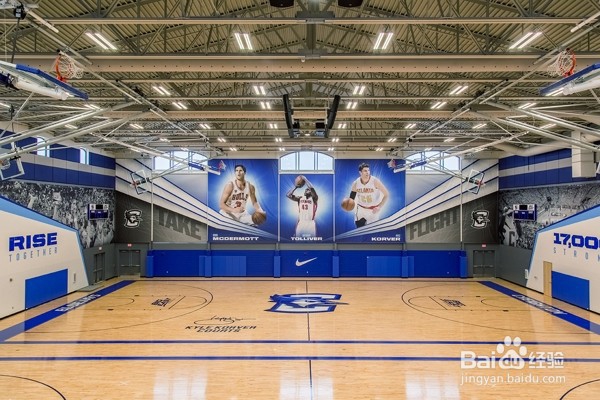 枫木和柞木运动地板的区别