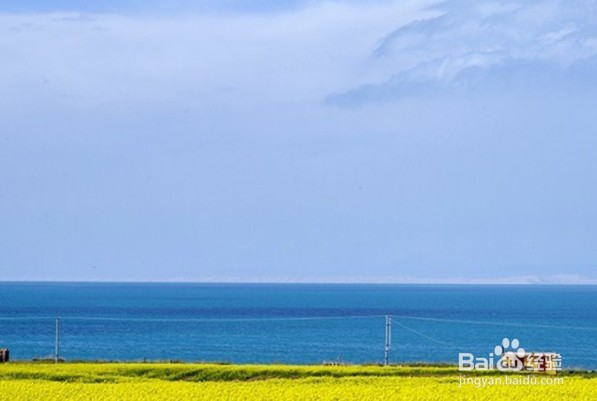青海湖环湖之旅