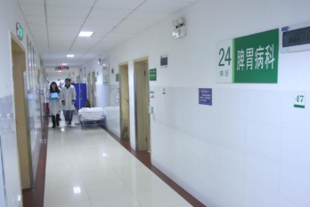 柿子惊人的秘密