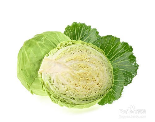 更新: 2020-11-23 17:05 1 2 3 4 5 6 7分步阅读 卷心菜也叫做洋白菜