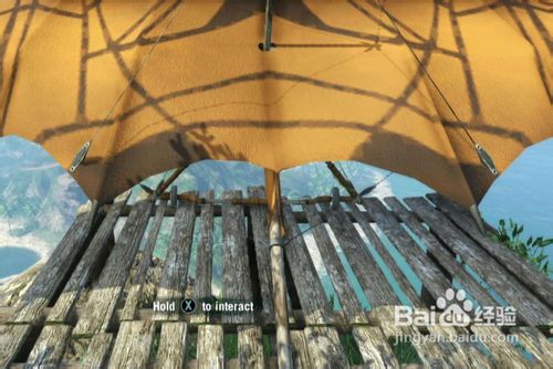 通关解说孤岛惊魂3