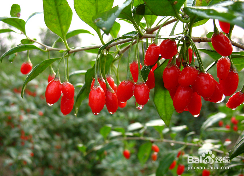 如何从人体表面发现病症并且对症下药