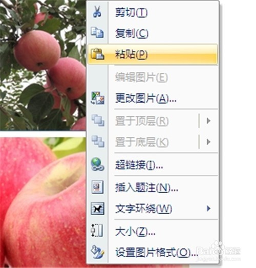 Word 2007修改图片尺寸的三种方法