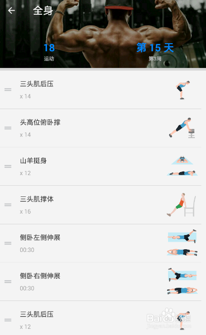 全身7x4挑战（运动：18）（第三周：第15天）