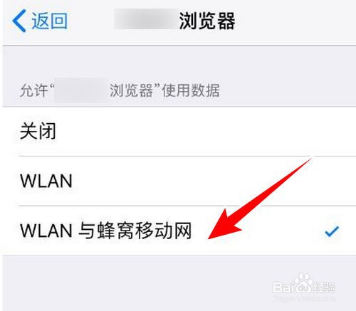 苹果手机打不开互联网怎么回事