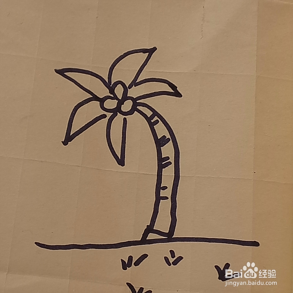 成熟的椰子树儿童简笔画