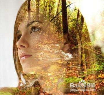 PhotoShop cs5完全自学教程