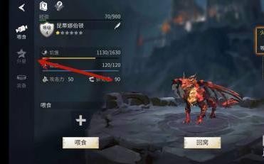 冰原守卫者龙如何升星