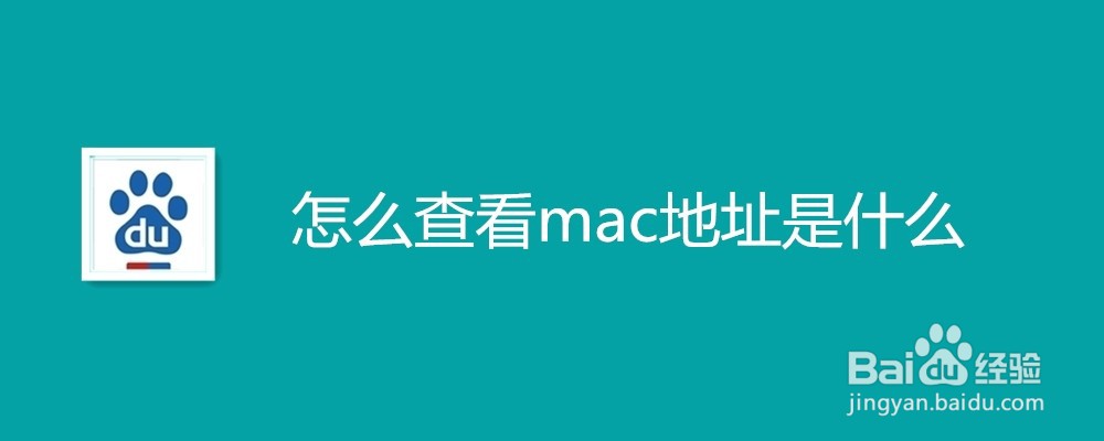 怎么查看mac地址是什么