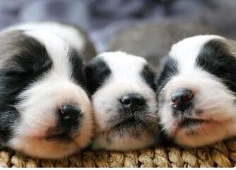 改善睡眠的一些好办法