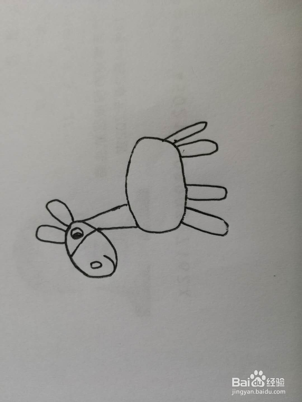 简笔画得意的小毛驴