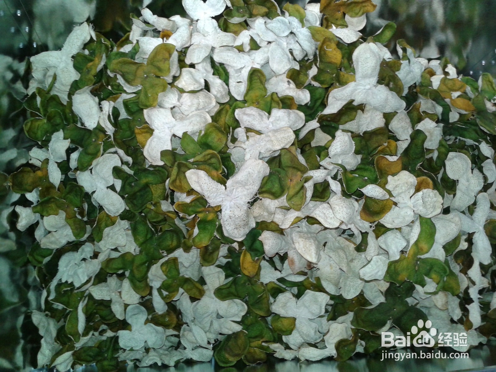 智能热泵烘干机具备的特性智能烘干机的控制逻辑