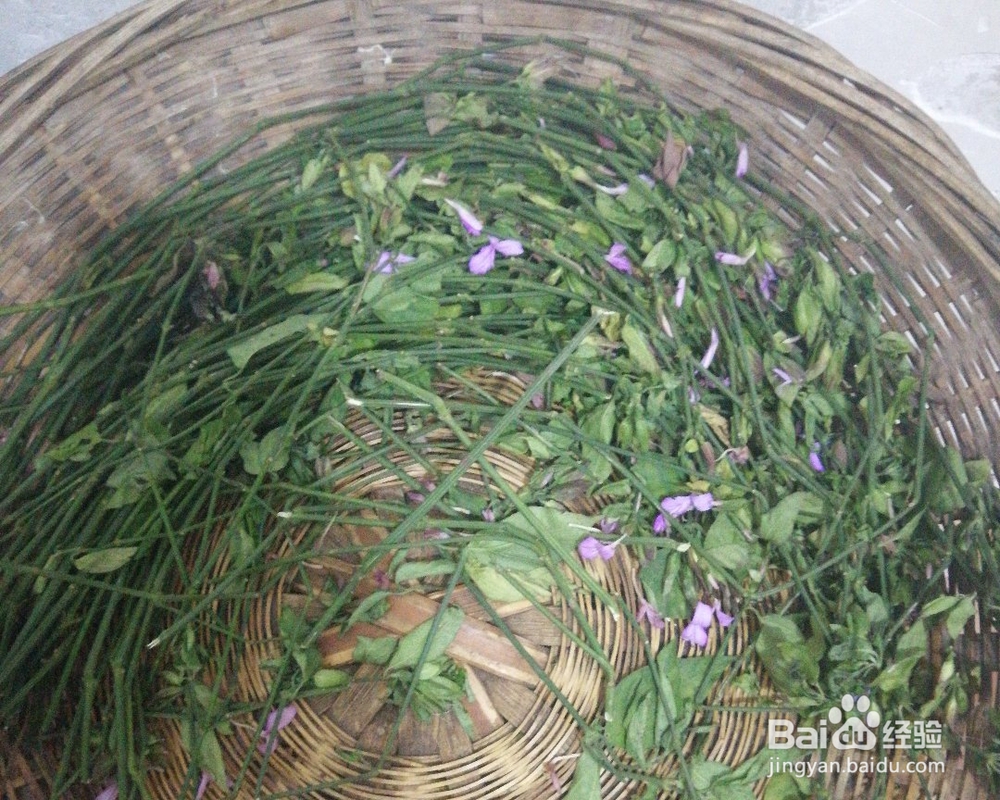 忍不住流口水的五彩饭七色糯米饭
