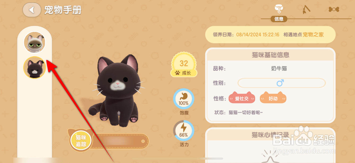 心动小镇怎么更换猫咪